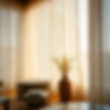 The Allure of Flowy Sheer Curtains: A Deep Dive Summary
