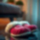 The Allure of Sexy Slippers: An In-Depth Exploration Introduction