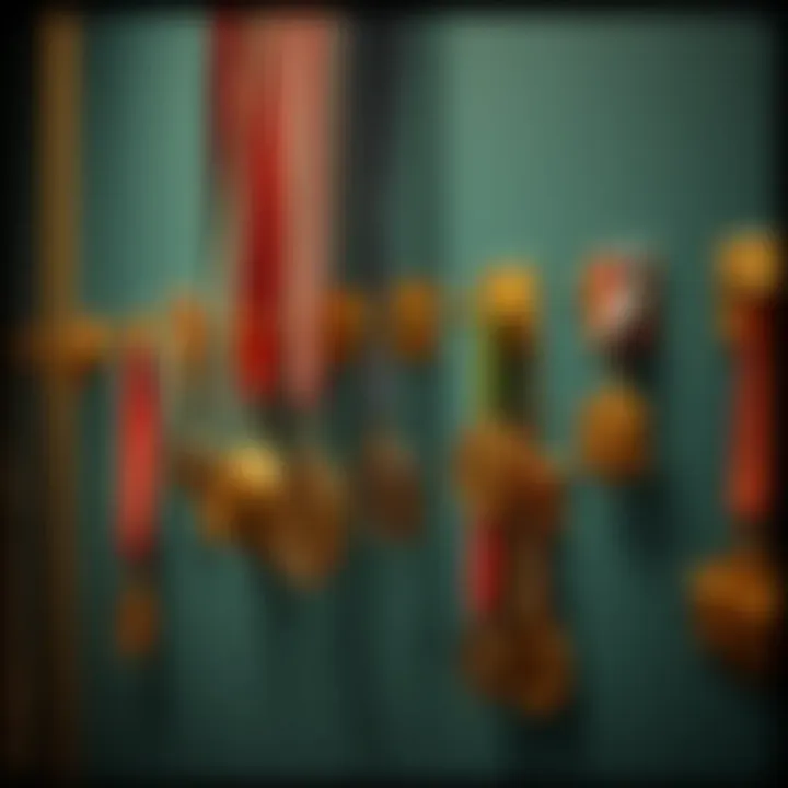 Notable The Art and Functionality of Medal Hook Displays