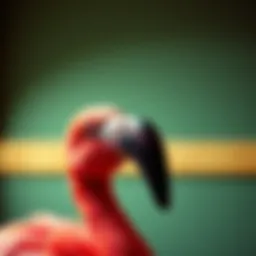 The Chic Intersection of Feather, Flamingo, and Facial Razors in Personal Grooming Introduction