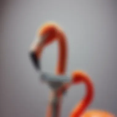 The Chic Intersection of Feather, Flamingo, and Facial Razors in Personal Grooming Summary The Chic Intersection of Feather, Flamingo, and Facial Razors in Personal Grooming Summary