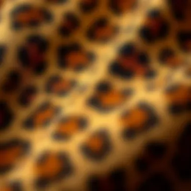 Exploring Leopard Print Fabric Texture Close-up of leopard print fabric texture