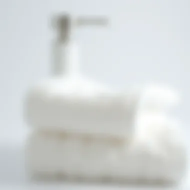 The Efficacy and Design of Women's Hair Drying Towels Introduction