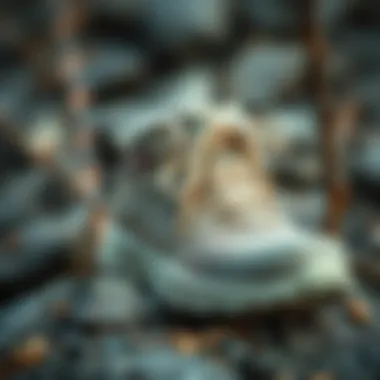 The Efficacy of Quick Drying Shoes for Hiking Summary The Efficacy of Quick Drying Shoes for Hiking Summary