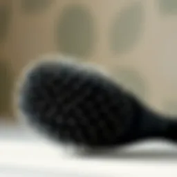 The Functionality of Wet Brushes with Soft Bristles Introduction