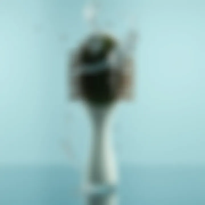 The Functionality of Wet Brushes with Soft Bristles Summary