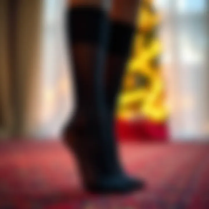 The Intricacies of Black Sheer Socks Summary