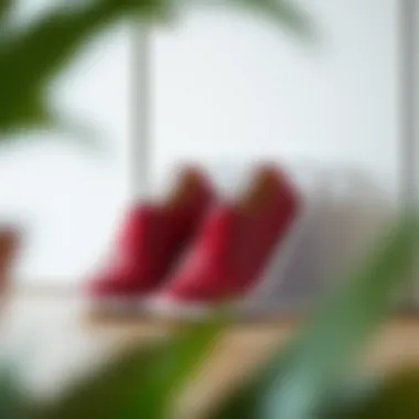 The Multifaceted Benefits of Collapsible Shoe Organizers Summary