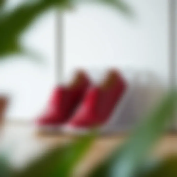 The Multifaceted Benefits of Collapsible Shoe Organizers Summary
