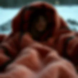 The Rise of the Giant Wearable Blanket: A Comprehensive Analysis Introduction