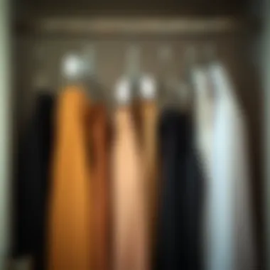Efficient wardrobe organization through innovative hangers Organized closet with various pants hangers with clips
