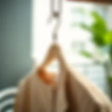 Eco-friendly design promoting sustainability in fashion Sustainable fabric-based pants hanger with clips