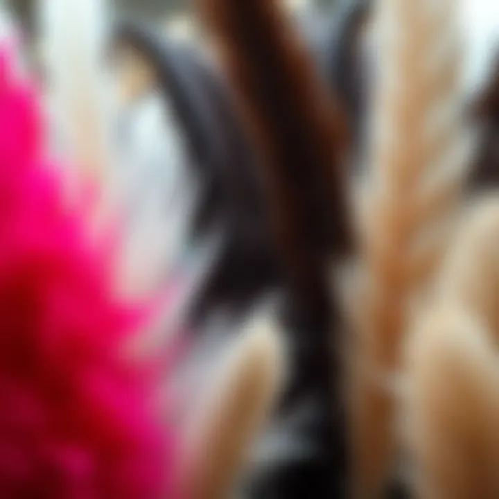 Elegant Variety of Feather Designs An elegant display of various feather colors and designs