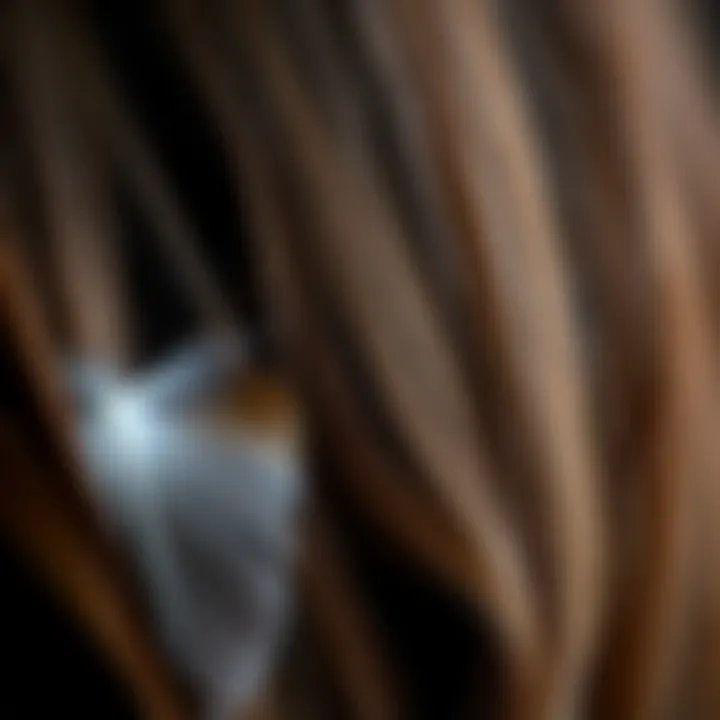 Detailed View of Feather Clip-Ins in Hair Close-up of feather clip-ins attached to hair, showcasing texture