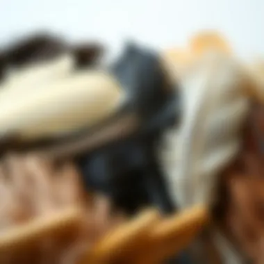 Diverse Styles of Feather Clip-Ins Different styles of feather clip-ins arranged artistically