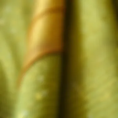 Close-Up of Glitter Pen Details on Fabric Close-up of glitter pen details on a fabric surface