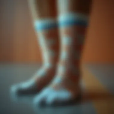 Notable Women’s Moisture Wicking Crew Socks: A Comprehensive Examination
