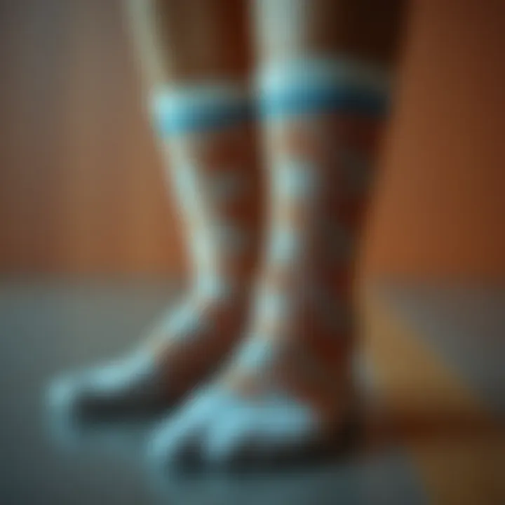 Notable Women’s Moisture Wicking Crew Socks: A Comprehensive Examination
